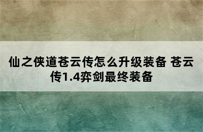 仙之侠道苍云传怎么升级装备 苍云传1.4弈剑最终装备